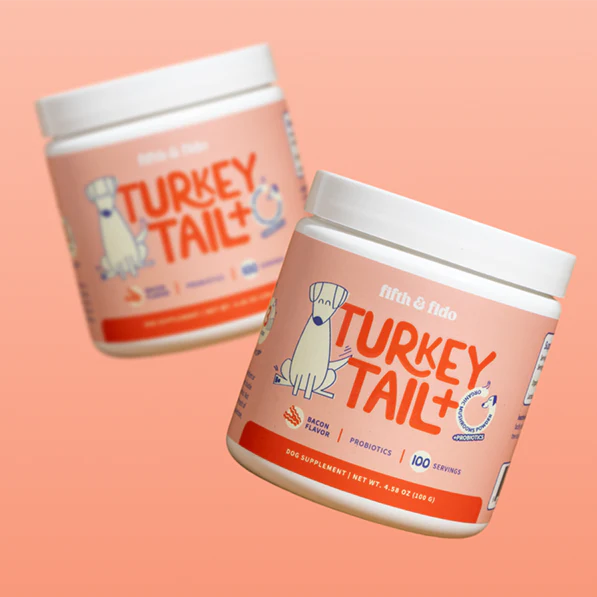 Turkey Tail Mushroom + Probiotic Formula