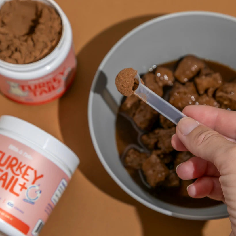 Turkey Tail Mushroom + Probiotic Formula