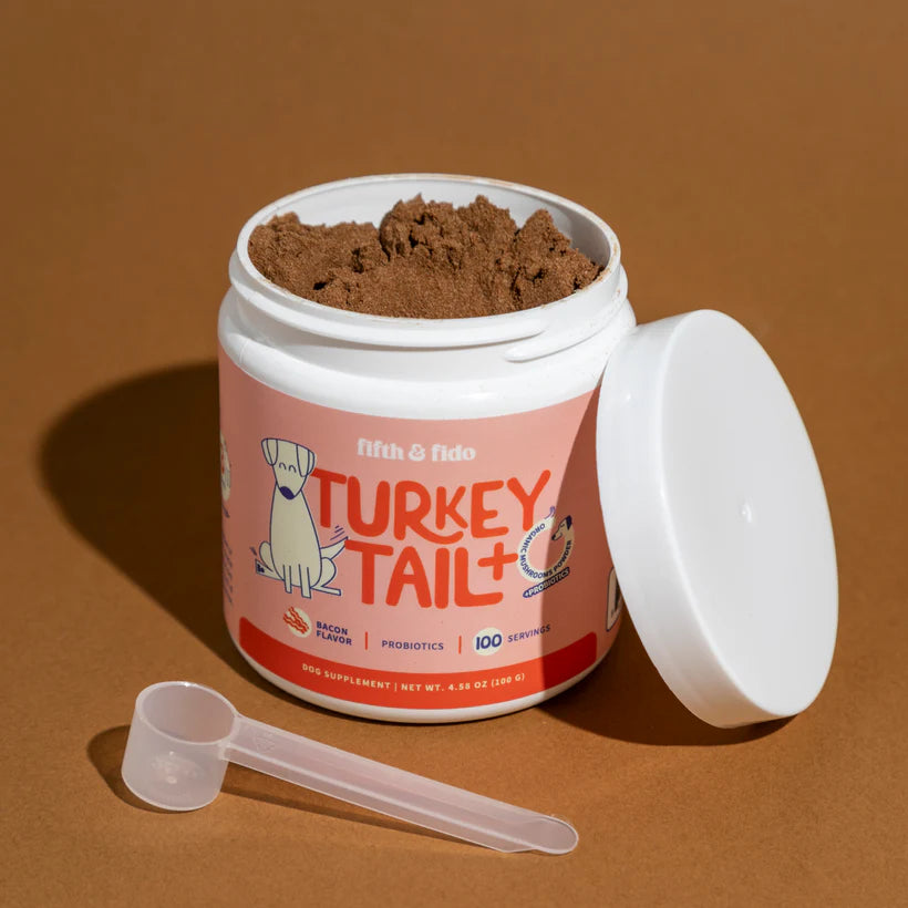 Turkey Tail Mushroom + Probiotic Formula