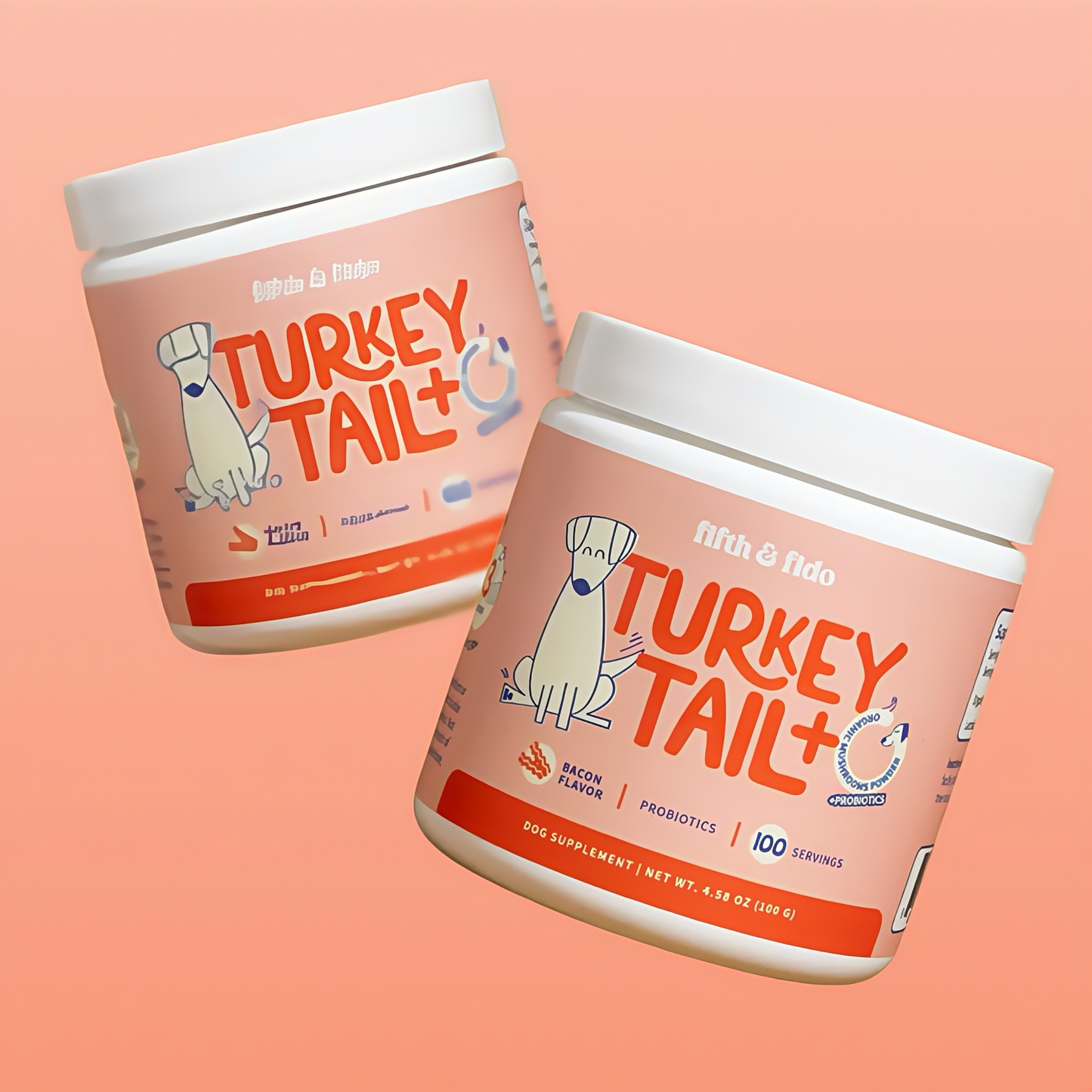 Turkey Tail Mushroom + Probiotic Formula