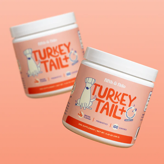 Turkey Tail Mushroom + Probiotic Formula